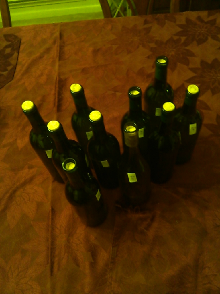 Want to Have your Money and your Glass of Wine?  Check Out Home Wine&nbsp;Making