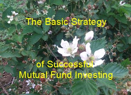 The Basic Strategy of Successful Mutual Fund&nbsp;Investing